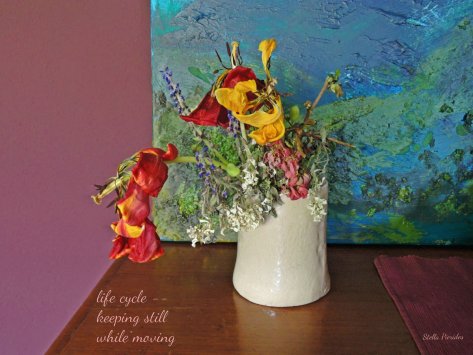 vase,flowers,tulips,haiga,